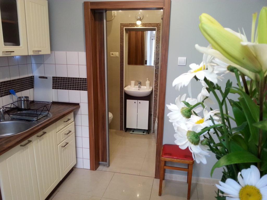 Apartment Old Cracow クラクフ エクステリア 写真